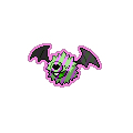 Exotic Woobat